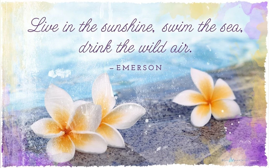 Downloadable Summer Desktop Backgrounds Archives Blue Mountain Blog