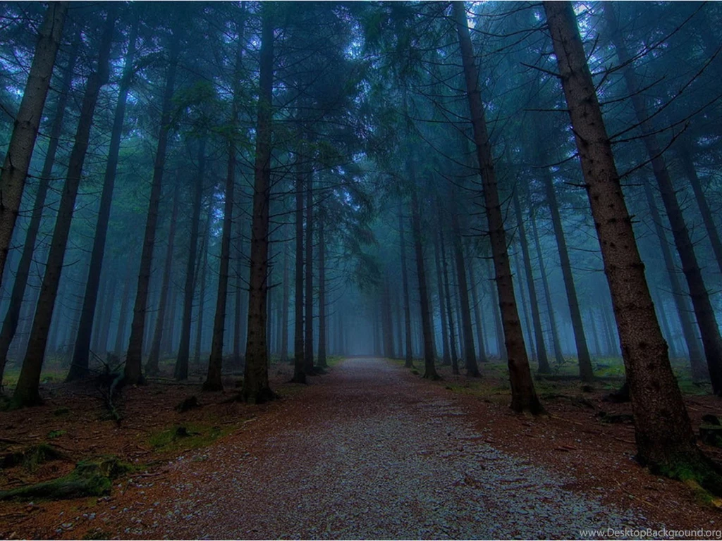 Wallpapers: Twilight Forest
