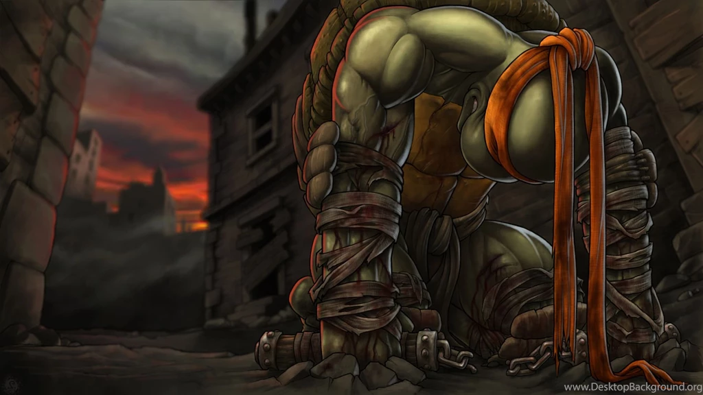 Ninja Turtles Wallpapers Awesome 242 Widescreen