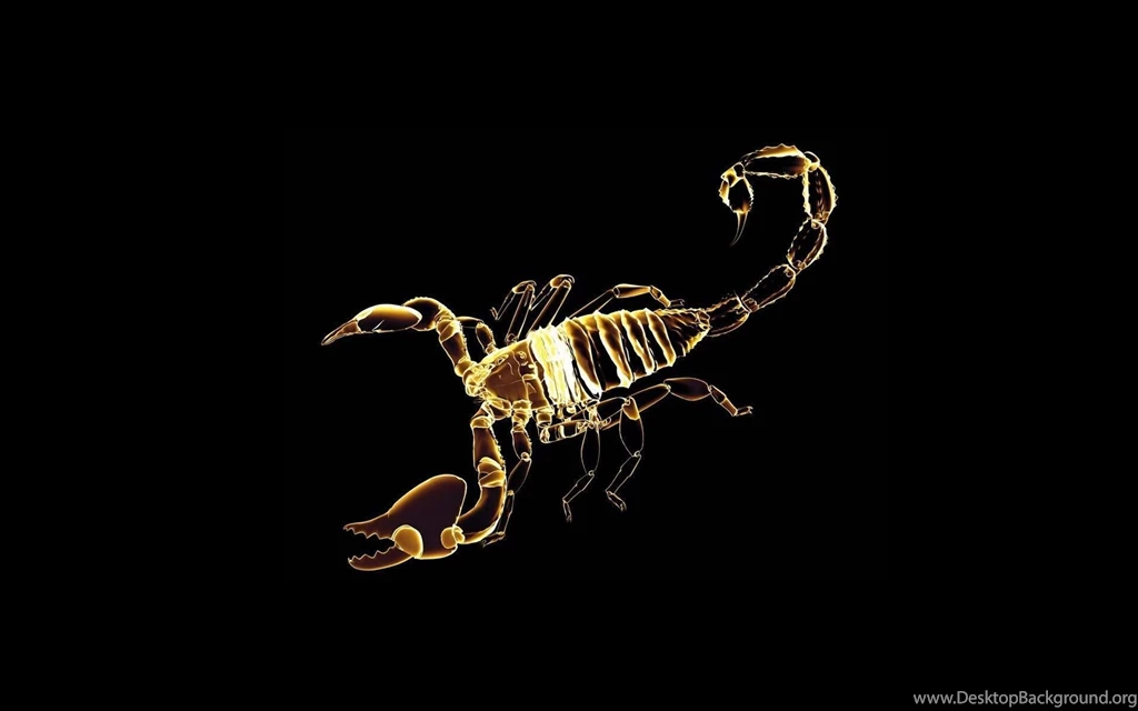 10 Scorpion HD Wallpapers