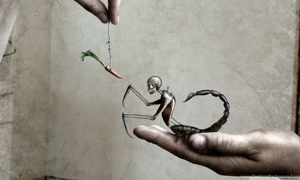 Fantasy Scorpion HD Desktop Wallpapers : High Definition ...