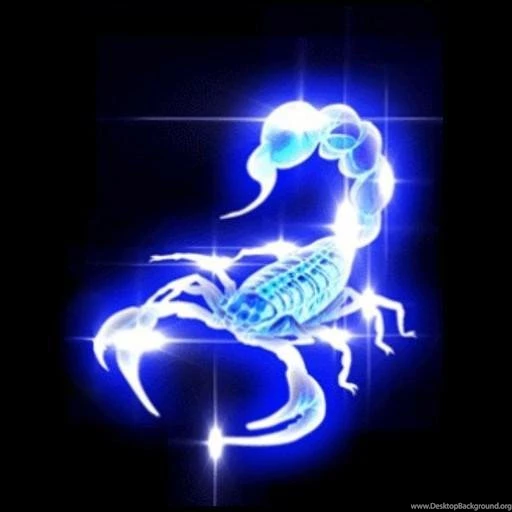 3D Scorpion Magic Wallpapers Download 3D Scorpion Magic Wallpapers ...
