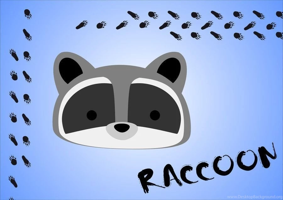Bear Series: Raccoon Wallpapers By Stephy McFly On DeviantArt