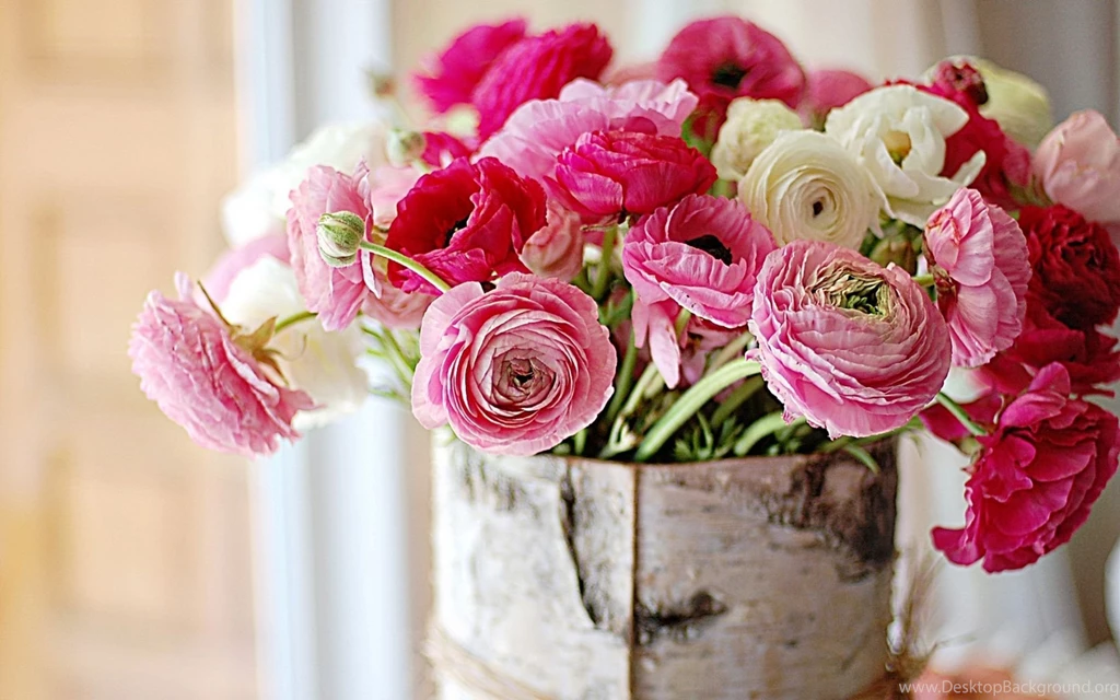 Peonies Photo Wallpapers, Pictures With Peonies