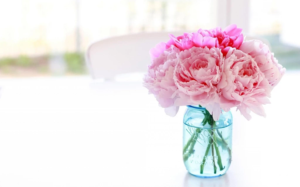 White Peonies Wallpaper.