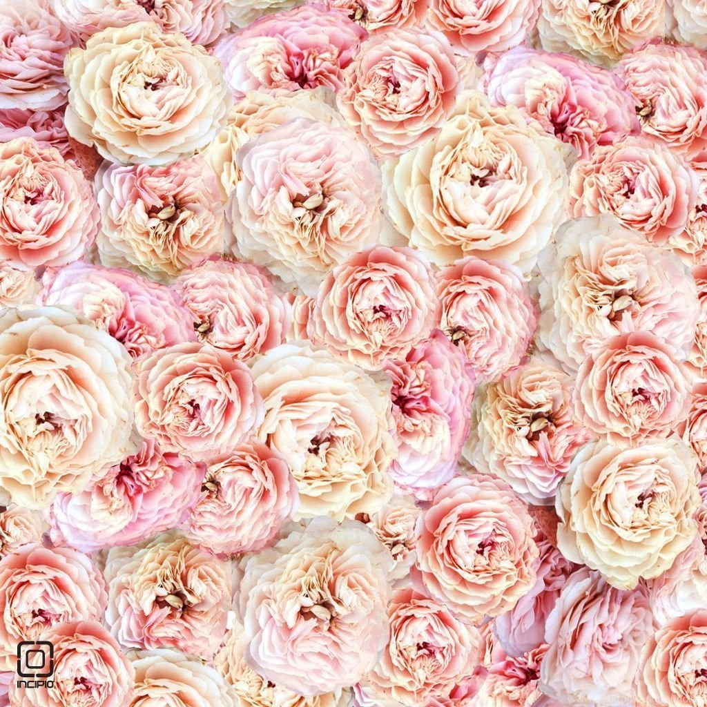 An Easter Treat: Spring Wallpapers 2013