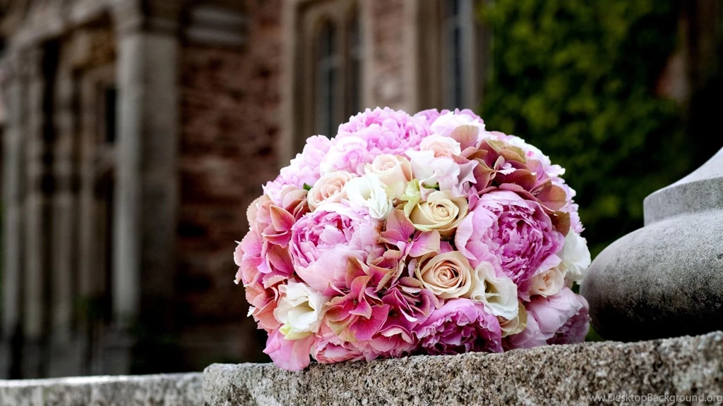 Download Peonies Flower Wallpapers 7362 2880x1800 Px High ...