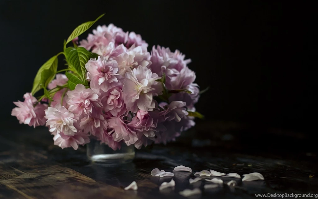 Purple Peonies Wallpapers 27814