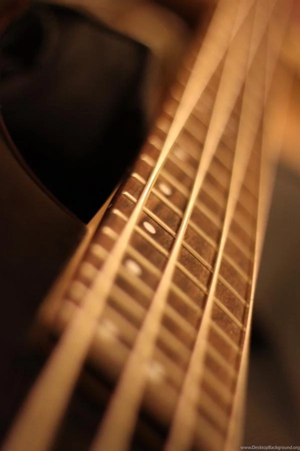 Bass,guitars Bass Guitars 3168x4752 Wallpapers – Bass,guitars Bass ...