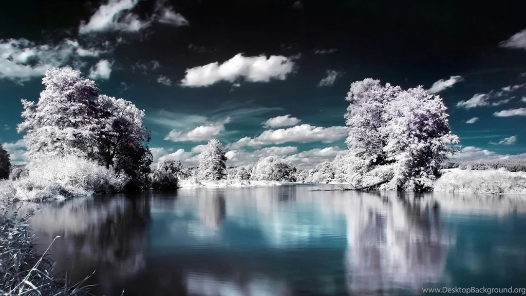 Nature: Superb Winter Lake View, Picture Nr. 60663