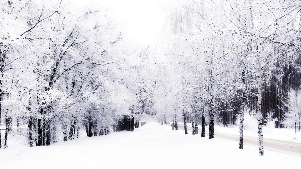 Winter Backgrounds Wallpapers 754596