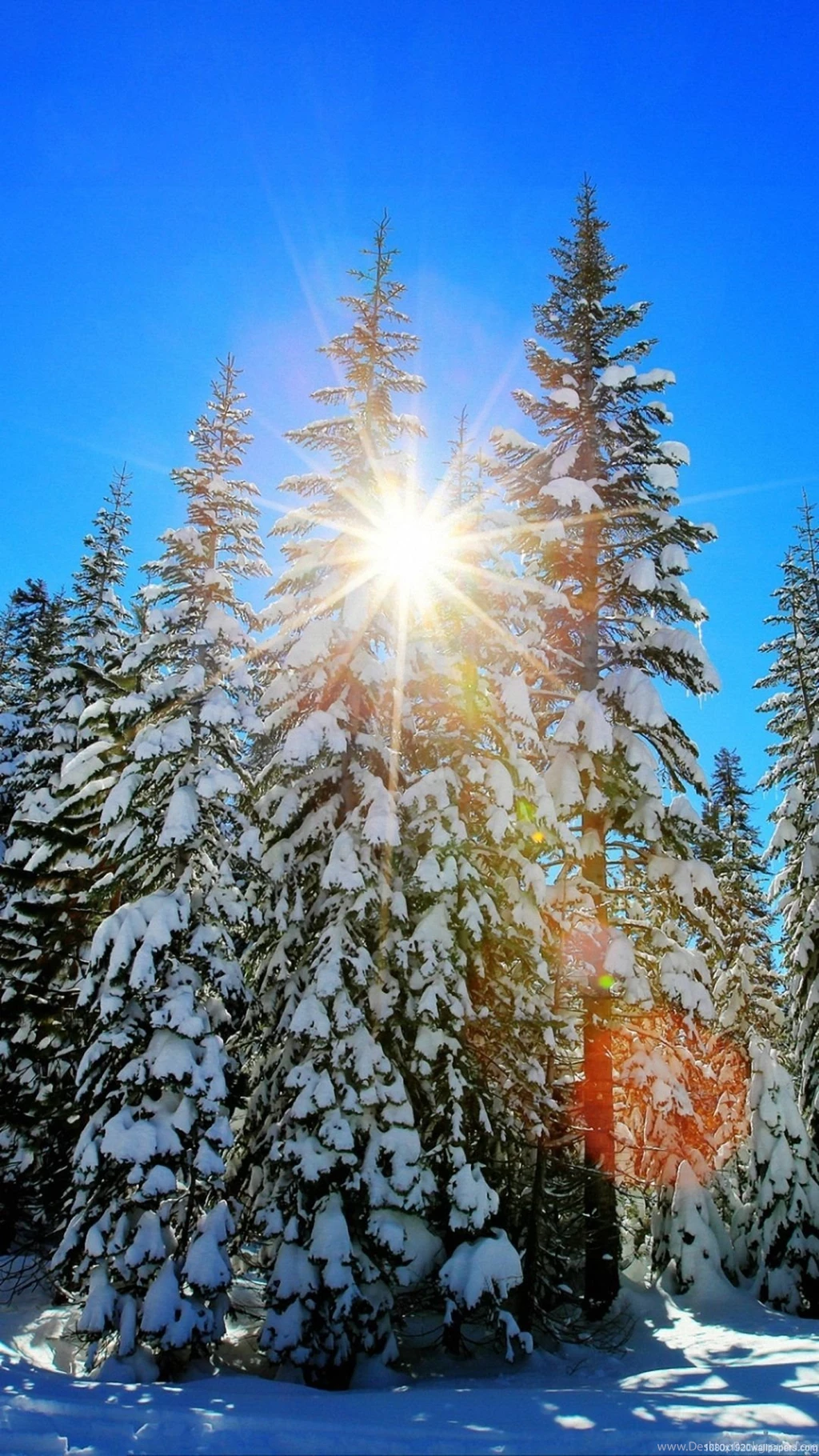 1080x1920 Winter Landscape Snow Wallpapers HD