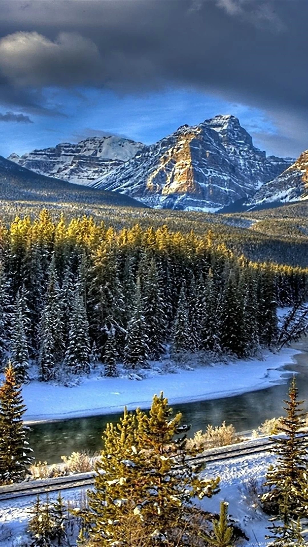 1080x1920 Nature Tree River Winter Wood Wallpapers HD