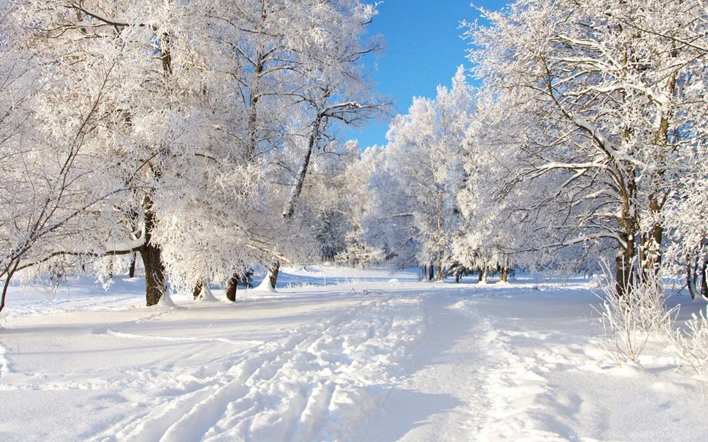 Winter Wallpapers For Computer Desktop