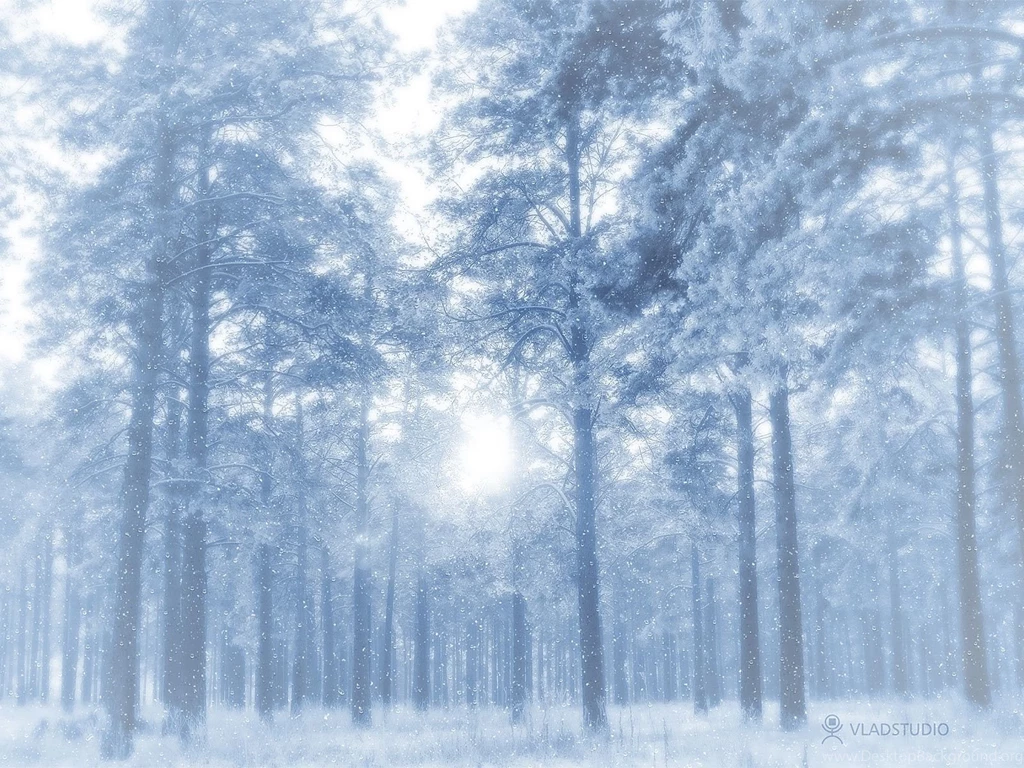 Winter Desktop Wallpapers