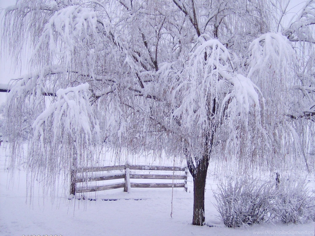 Outstanding Free Desktop Wallpapers Winter Scenes 1920x1440px