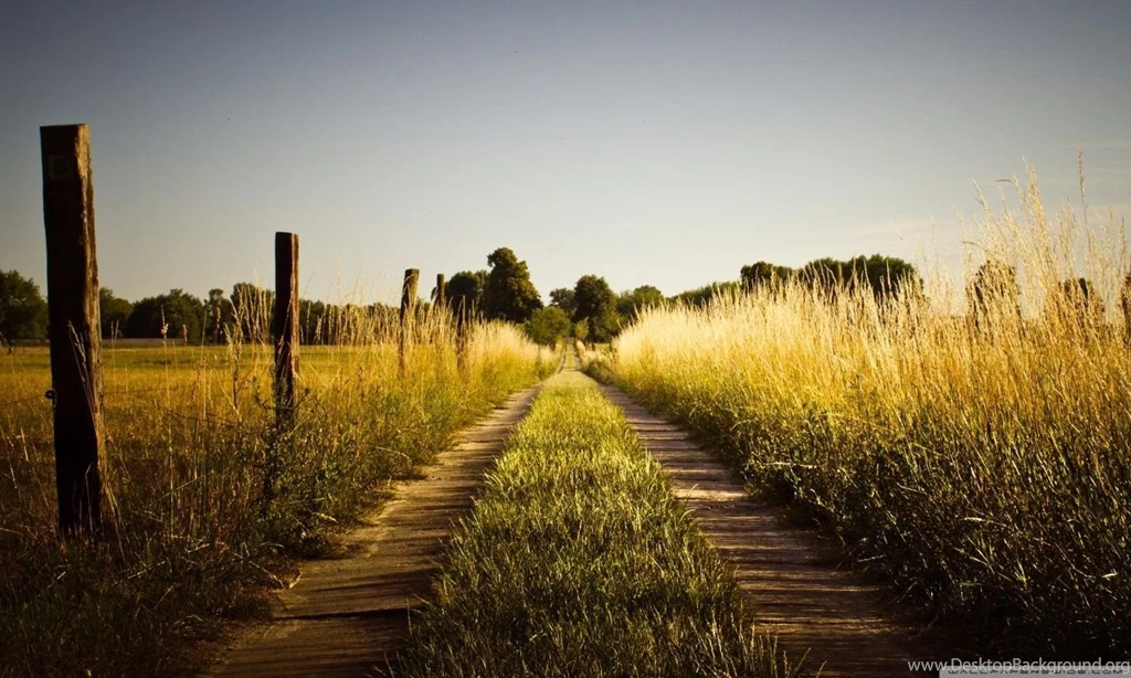 Country Road, Late Summer HD Desktop Wallpapers : High Definition ...