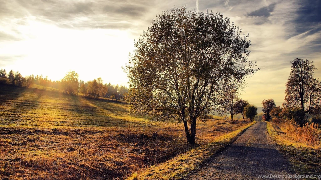 Country Wallpapers