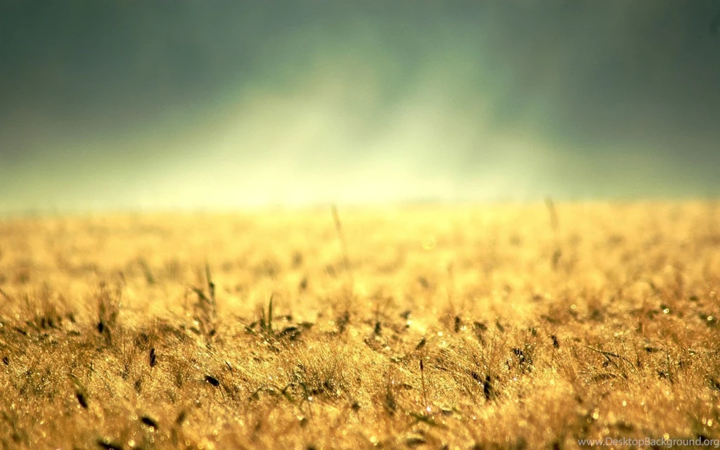 Theme Bin» Blog Archive » Morning Country HD Wallpapers