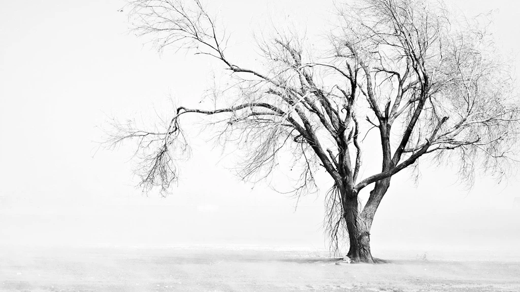 Download 52 Clean White Wallpapers For Desktop & Laptops