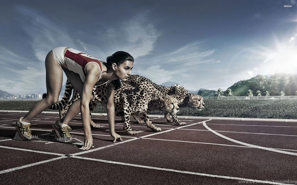 Athlete Against Cheetah Wallpapers Digital Art Wallpapers
