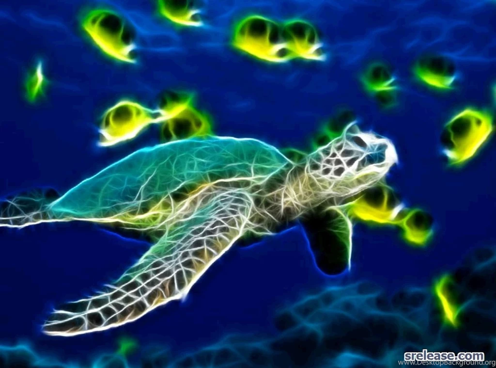 Sea Turtle Hawaii Sea Turtle Taken From (id: 184145) – BUZZERG