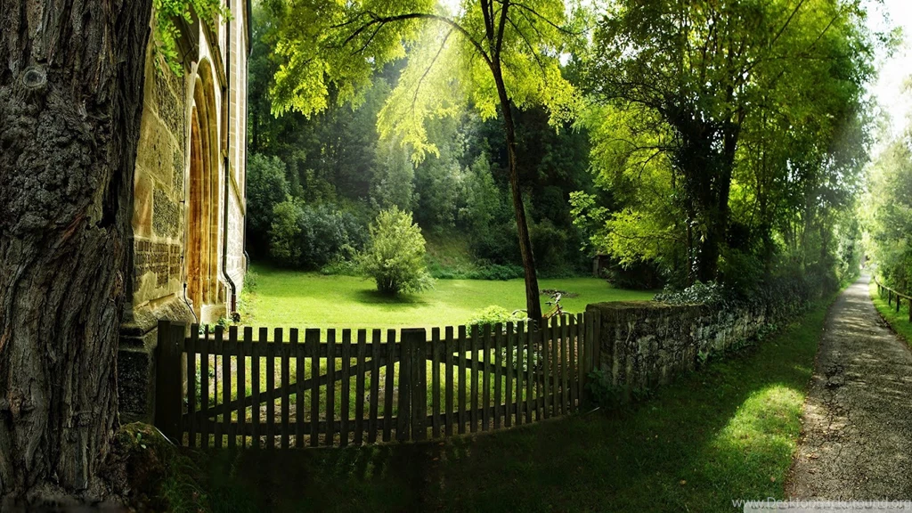 Download Summer Nature Wallpapers