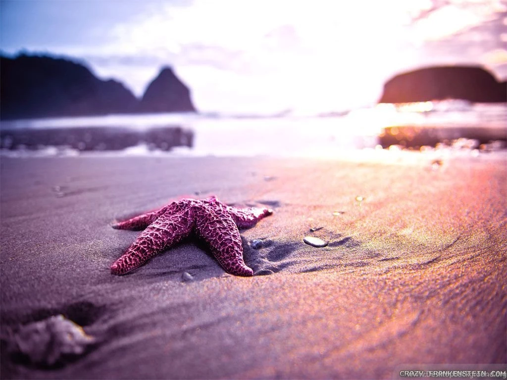 Summer Nature Wallpapers 3 Crazy Frankenstein