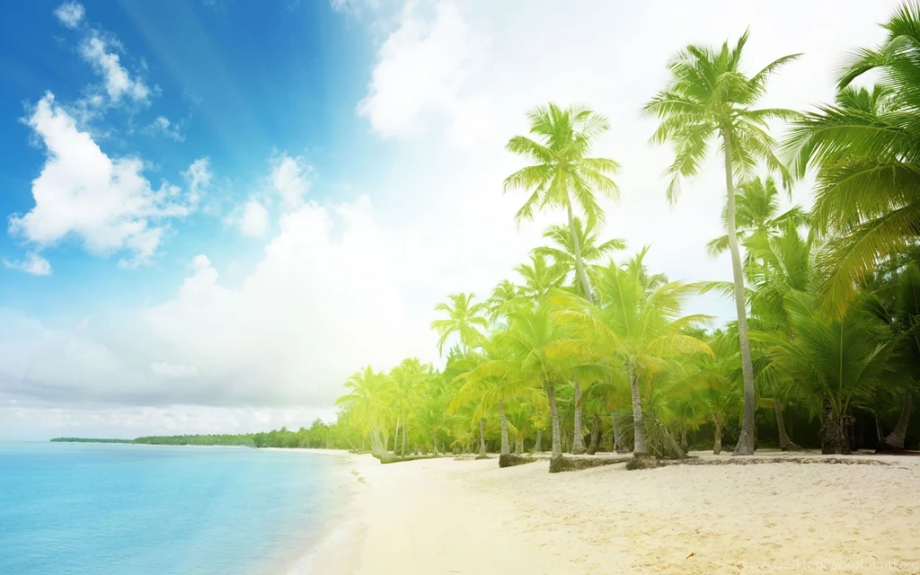 Backgrounds Wallpapers