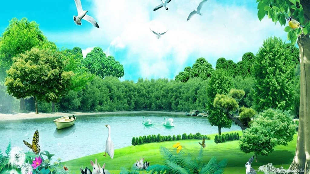 HD Forest Animals Summer Nature Wallpapers.jpg