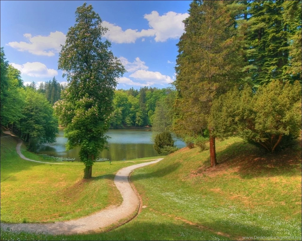 Wallpapers Seasons Summer Nature Image