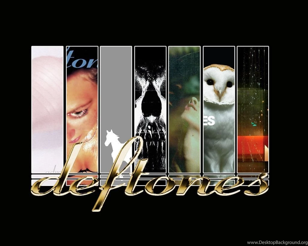 Browsing Wallpapers On DeviantArt