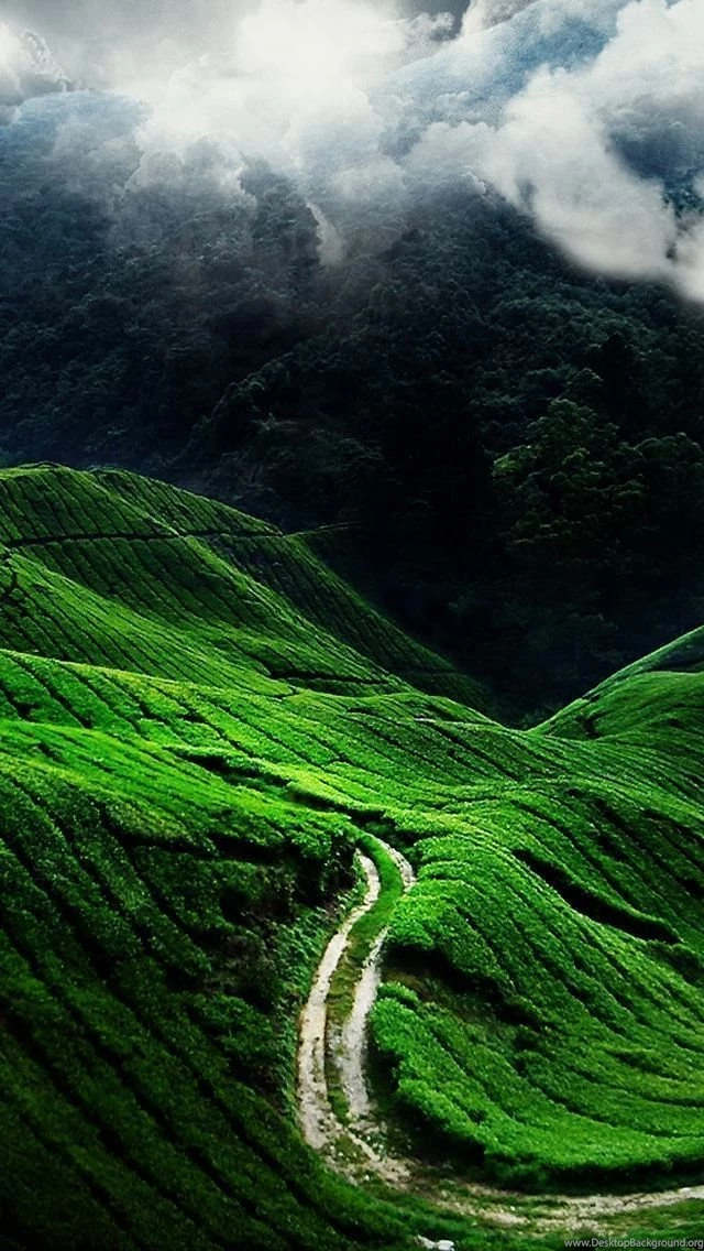 Download 3000 Wallpaper Apple Nature Download 3000 Wallpaper Apple Nature