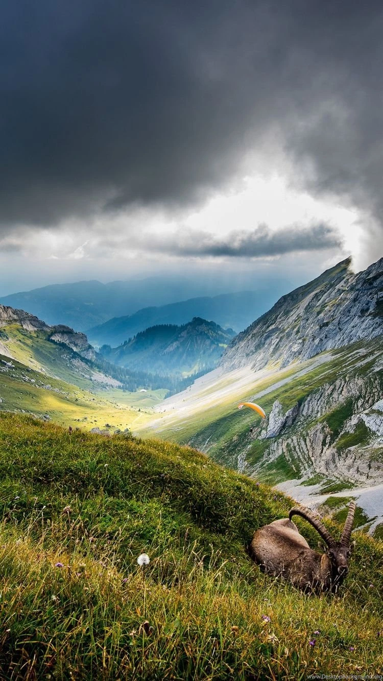 iPhone 6 Wallpapers Nature 10