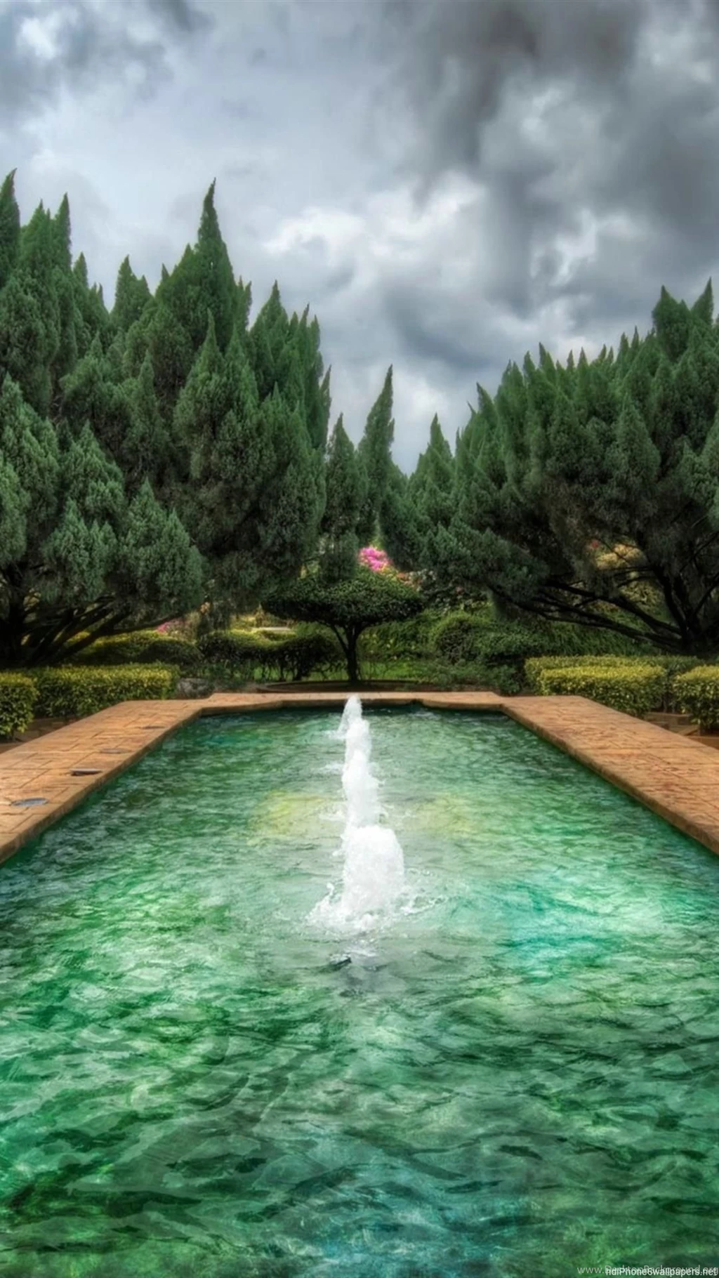 Nature Clouds Wood Color iPhone 6 Wallpapers HD And 1080P 6 Plus ...