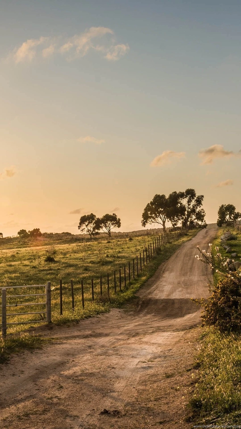 Nature Country Fence Road View iPhone 6 Wallpapers Download ...
