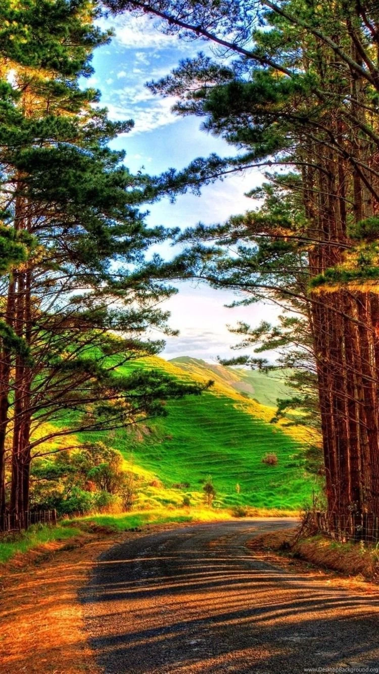 iPhone 6 Wallpapers Nature 04