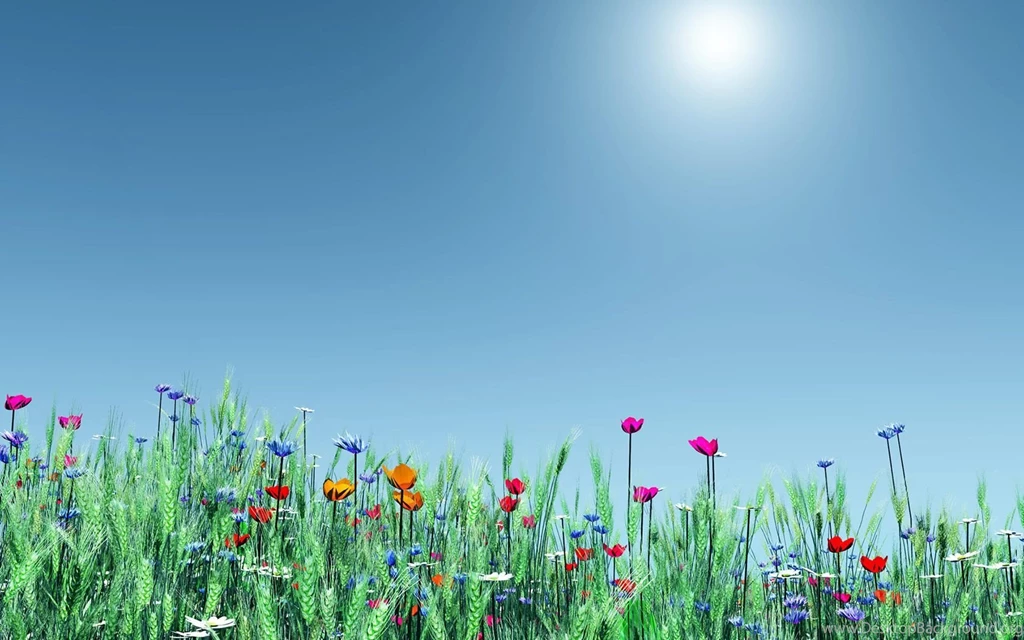 Beautiful Summer Flowers Wallpapers For Desktop – Photography Heat ...