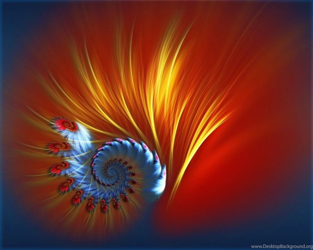 1024x768 Peacock Vectors Desktop PC And Mac Wallpapers