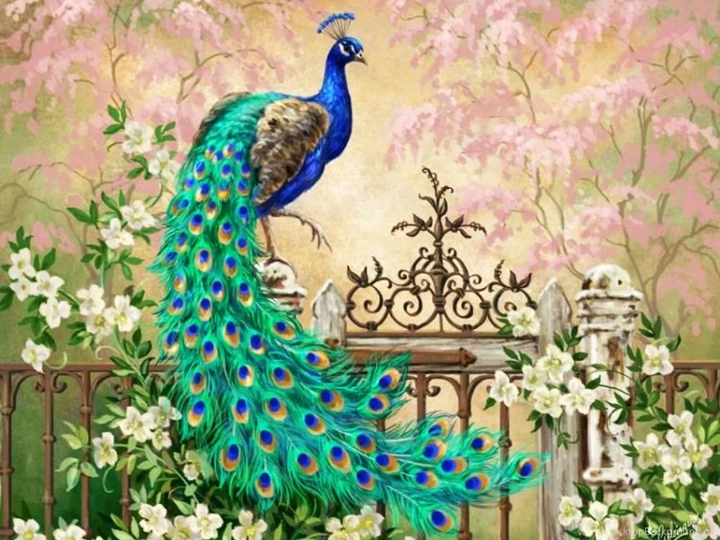 1500x500 Pretty Peacock Garden Gate Twitter Header Photo
