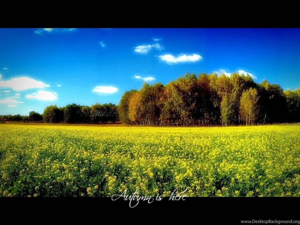 1600x1200 Autumn Is Here Desktop PC And Mac Wallpapers