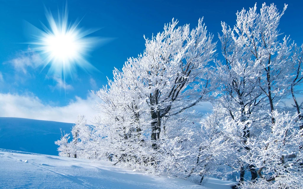 Laptop Backgrounds With Winter Wallpapers And Snowy Trees Winter ...
