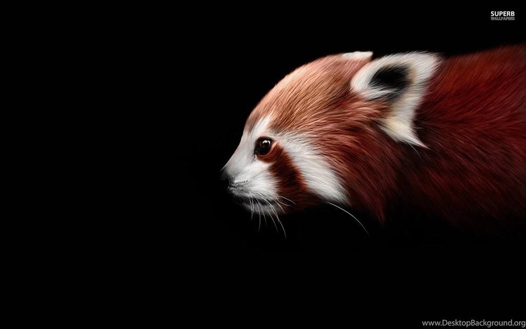 Red Panda Wallpapers Animal Wallpapers