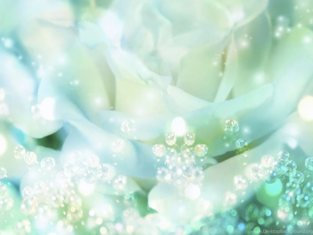 Bride Backgrounds Wallpapers