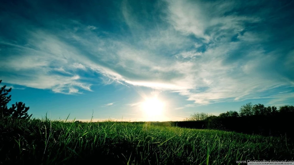 Sunny Day, Summer HD Desktop Wallpapers : Mobile