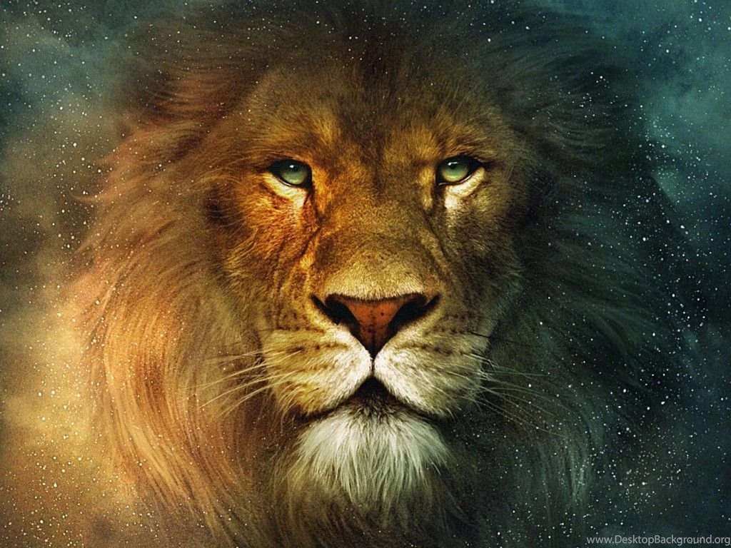 Lion Desktop Wallpapers