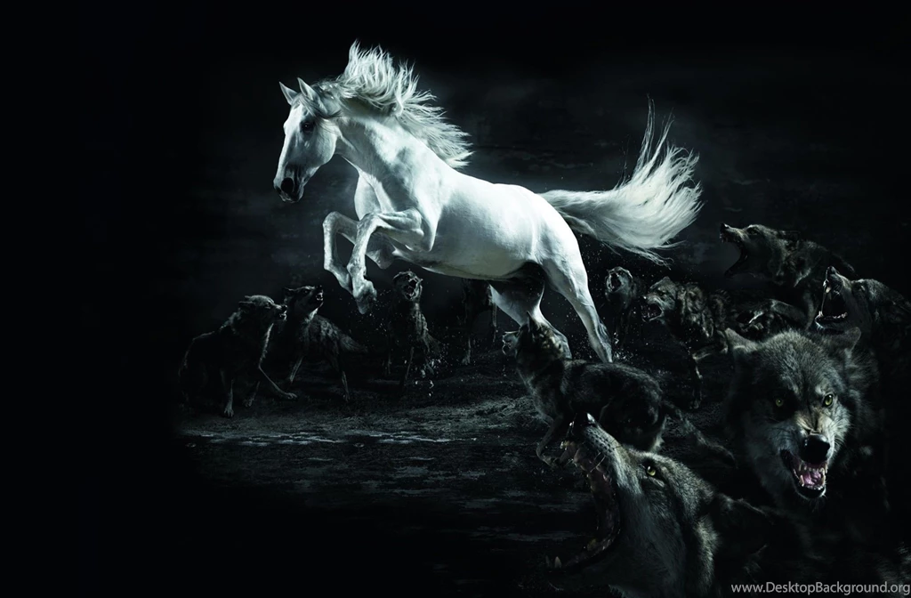 3D And Abstract Ultra HD Wallpapers 4 Ultra High Definition ...