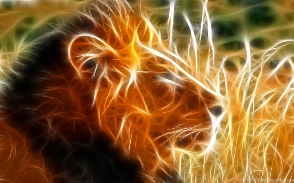 Lion Desktop Wallpapers