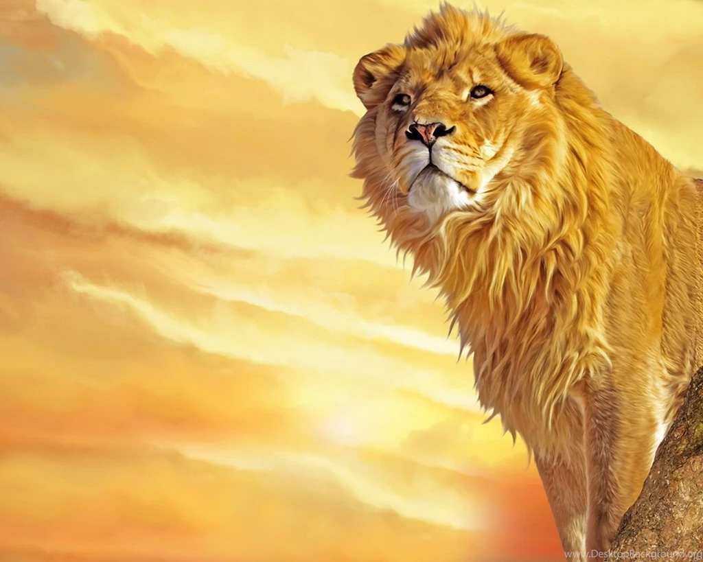 Images Of Lion Desktop Backgrounds