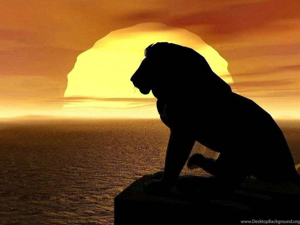 Lions Desktop Backgrounds 3 Free Wallpapers Party